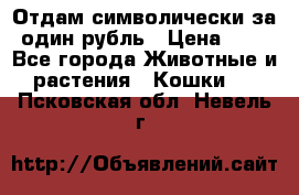 Отдам символически за один рубль › Цена ­ 1 - Все города Животные и растения » Кошки   . Псковская обл.,Невель г.